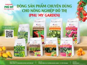 dam phu my