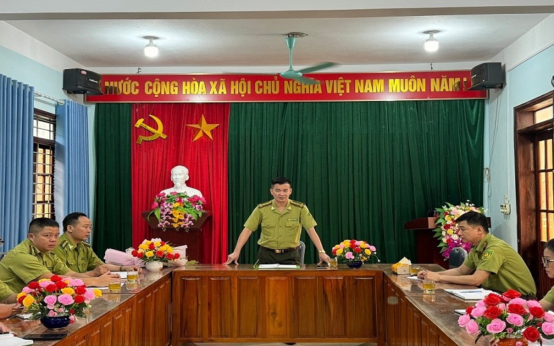 Bài cuối: Từ nền móng vững chắc đến kỳ vọng phát triển lâm nghiệp hiện đại, bền vững