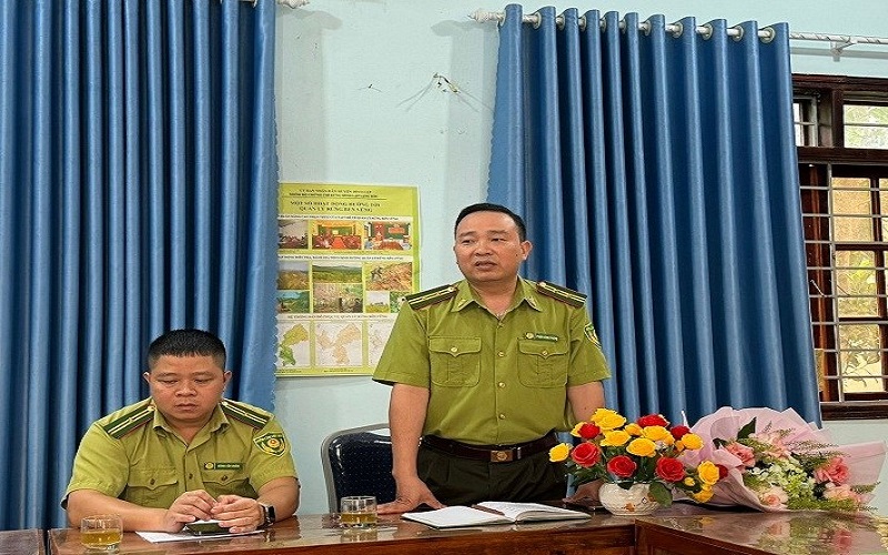 Bài cuối: Từ nền móng vững chắc đến kỳ vọng phát triển lâm nghiệp hiện đại, bền vững