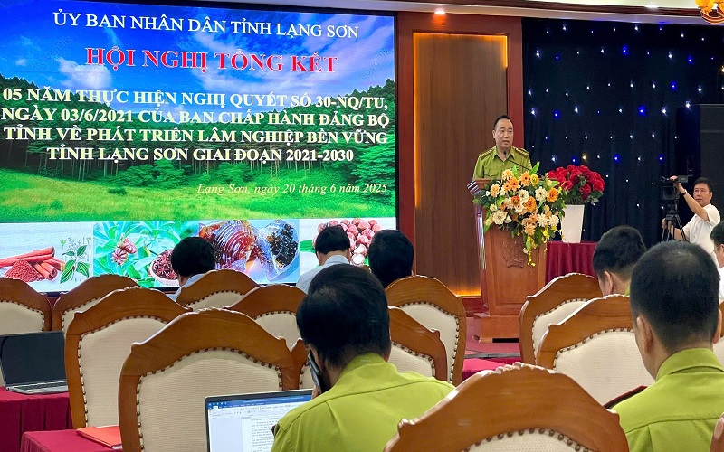 Bài 2: Dấu ấn cấp 4 chứng chỉ quản lý rừng bền vững - Một bước tiến đột phá của Kiểm lâm Đình Lập