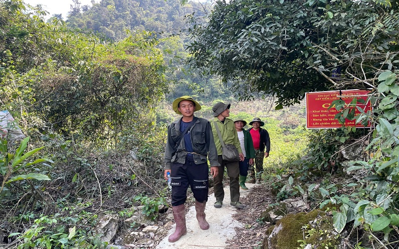 Giữ vững màu xanh cho rừng Vân Hồ: Hiệu quả từ sự vào cuộc đồng bộ