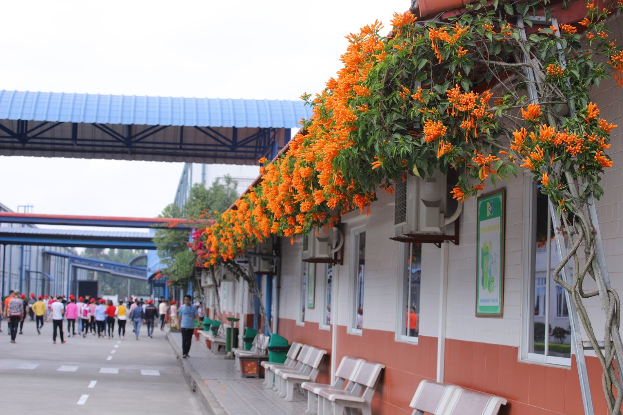 Công ty TNHH May Tinh Lợi: Doanh nghiệp an toàn tiêu biểu ngành dệt may Việt Nam