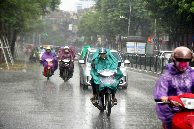 Thời tiết ngày 31/7: Bắc Bộ, Thanh Hóa và Nghệ An có mưa vừa, mưa to