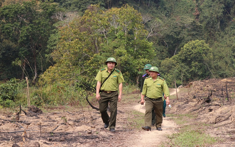 Kiểm lâm Sơn Động: Chủ động ứng phó, nâng cao hiệu quả quản lý, bảo vệ và phát triển rừng