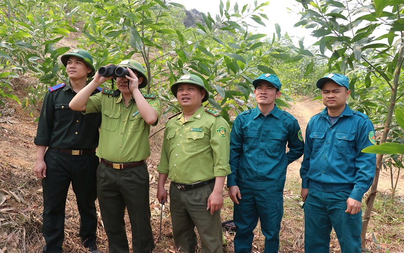 Kiểm lâm Sơn Động: Chủ động ứng phó, nâng cao hiệu quả quản lý, bảo vệ và phát triển rừng