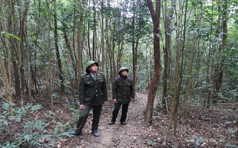 Kiểm lâm Sơn Động: Chủ động ứng phó, nâng cao hiệu quả quản lý, bảo vệ và phát triển rừng