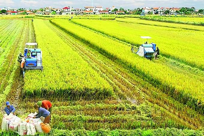 Đảm bảo sinh kế bền vững khi Nhà nước thu hồi đất nông nghiệp từ đó đổi mới các hình thức bồi thường, hỗ trợ cho người dân