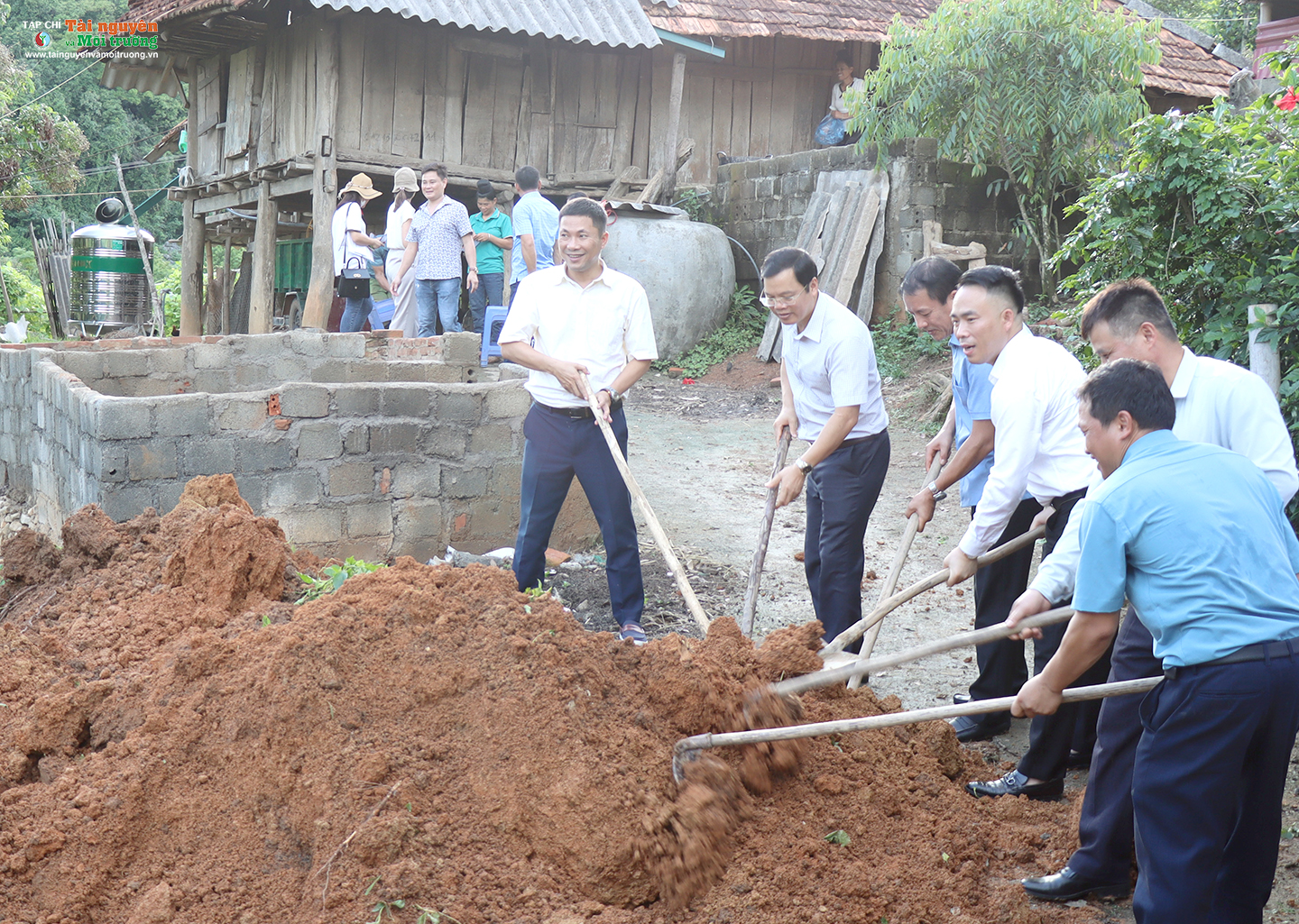 Ký ức màu xanh