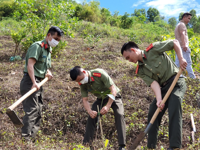 Tạp chí Tài nguyên và Môi trường trồng 563 cây ở chùa Phước Vân, Đắk Lắk