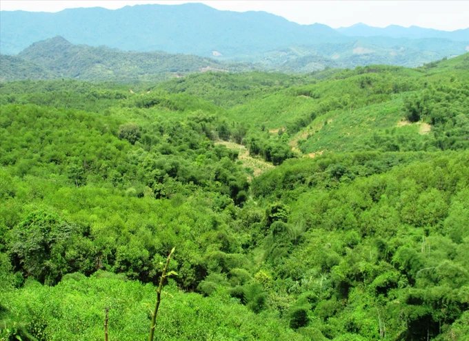 Bán thêm 1 triệu tấn tín chỉ carbon cho nước ngoài