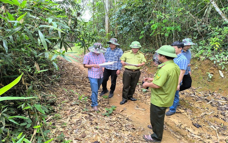Giữ vững màu xanh cho rừng Vân Hồ: Hiệu quả từ sự vào cuộc đồng bộ