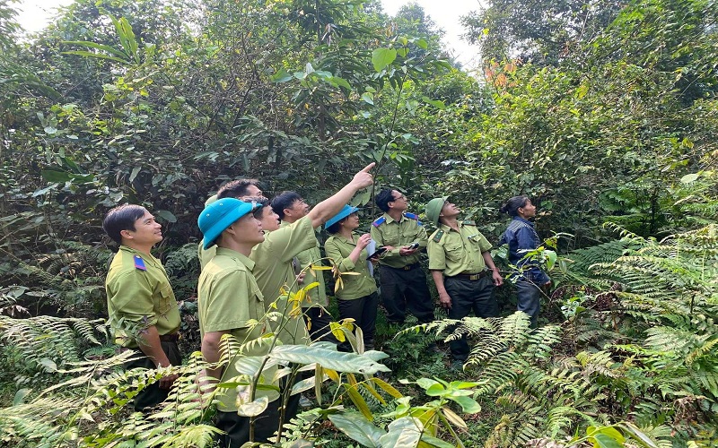 Kiểm lâm Tân Sơn quyết  liệt quản lý và phát triển rừng