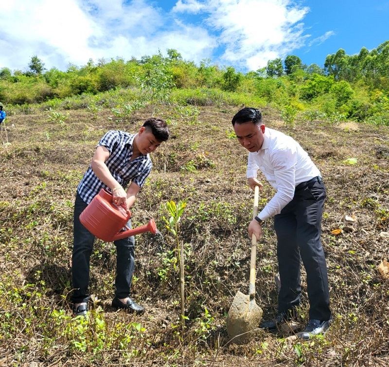 Tạp chí Tài nguyên và Môi trường trồng 563 cây ở chùa Phước Vân, Đắk Lắk