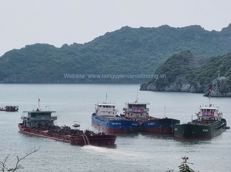Đảo Cát Bà (Hải Phòng) đang nỗ lực vươn mình trong đổi mới, tạo dựng môi trường du lịch văn hóa, an toàn, thân thiện