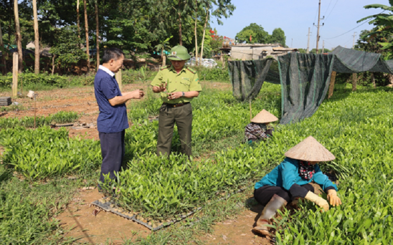 Kiểm lâm Bắc Ninh: Dấu ấn 6 tháng đầu năm
