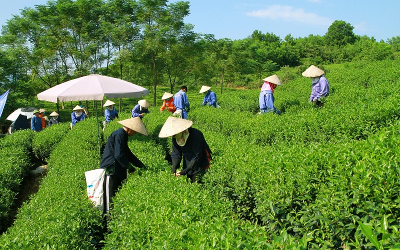 Đạt cả 3 yếu tố ESG, Masan Group được vinh danh Top 50 Doanh nghiệp phát triển bền vững tiêu biểu Việt Nam 2024