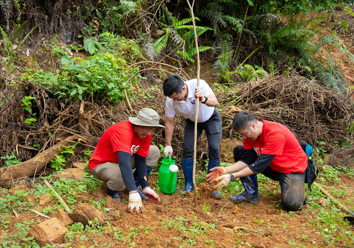 Hưởng ứng Ngày Môi trường thế giới với “MUFG Green day”