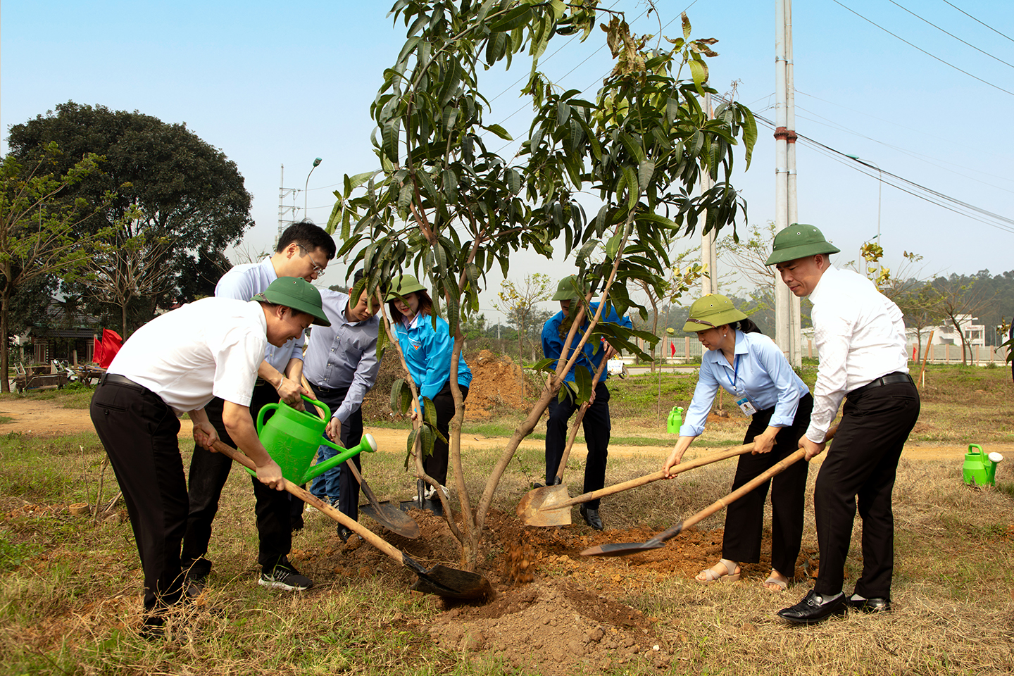 Chương trình trồng cây tại Đại học Quốc gia Hà Nội