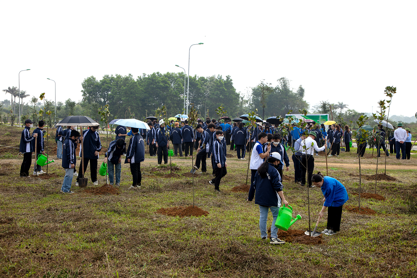 Chương trình trồng cây tại Đại học Quốc gia Hà Nội