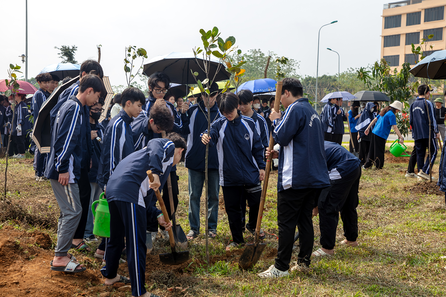 Chương trình trồng cây tại Đại học Quốc gia Hà Nội