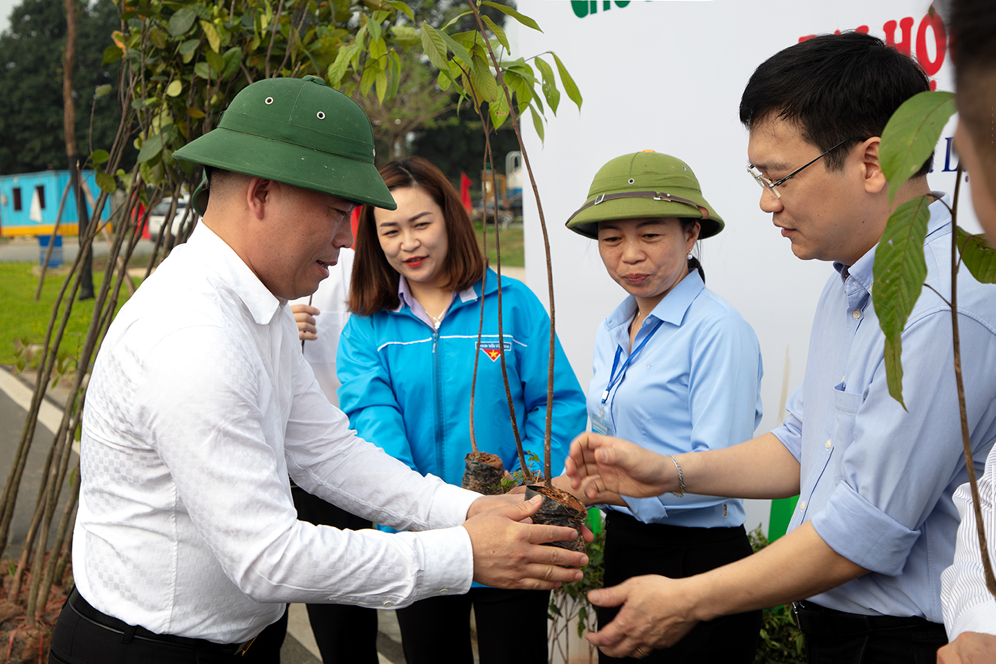 Chương trình trồng cây tại Đại học Quốc gia Hà Nội