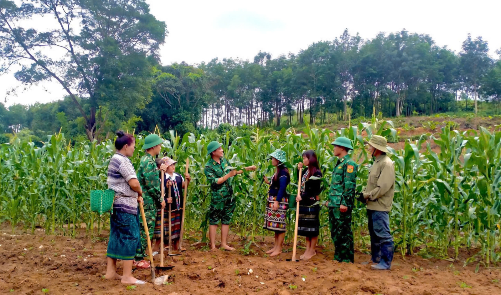 Quảng Trị: Chương trình “Thứ bảy về bản” giúp bà con vùng biên giới trồng lúa nước