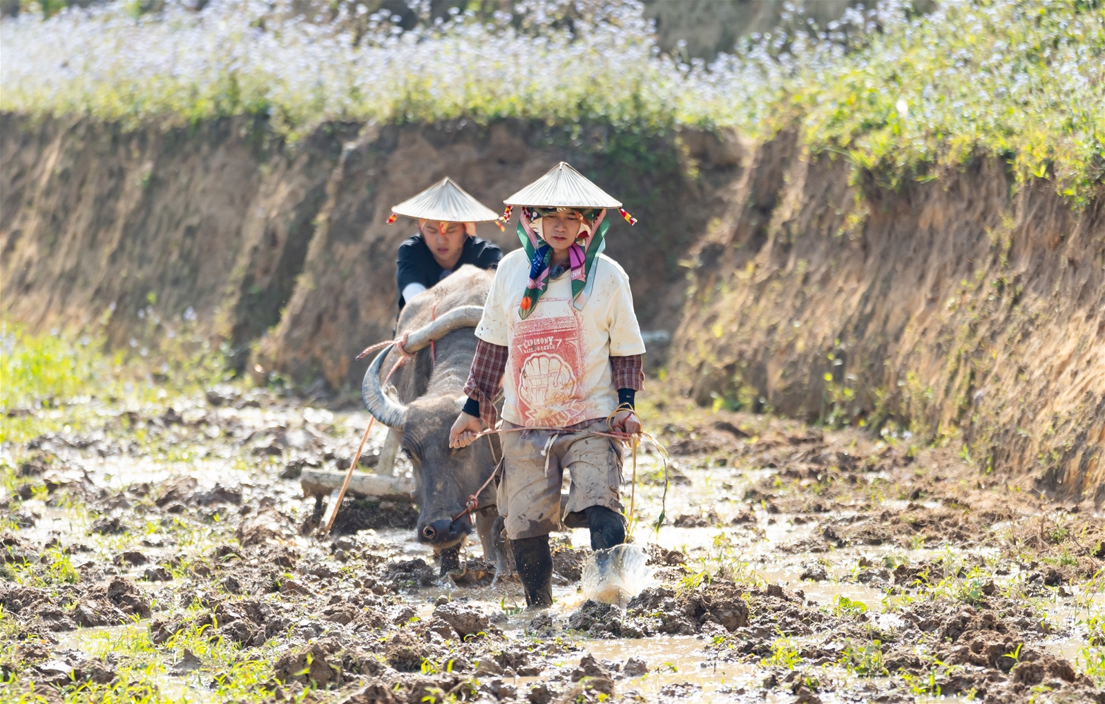 Chủ tịch UBND tỉnh Lào Cai trao Bằng khen cho YeaH1 vì đóng góp phát triển du lịch qua chương trình “Gia Đình Haha”