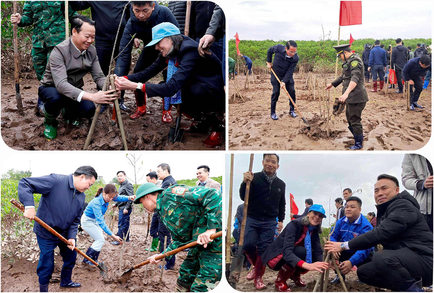 Bộ TN&MT phát động “Tết trồng cây đời đời nhớ ơn Bác Hồ” tại Thái Bình