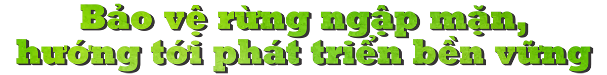 Bộ TN&MT phát động “Tết trồng cây đời đời nhớ ơn Bác Hồ” tại Thái Bình