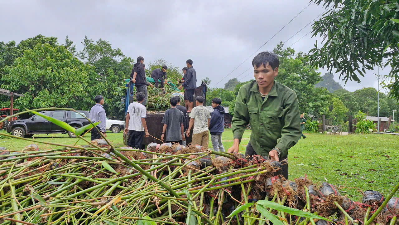 Quảng Trị: Mô hình phát triển kinh tế cho đồng bào hai bên biên giới Việt - Lào