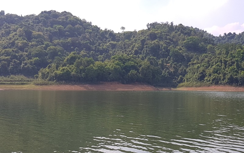 Giữ rừng giữa mùa nắng và bài học quản lý rừng bền vững từ Kiểm lâm Chũ - Lục Ngạn