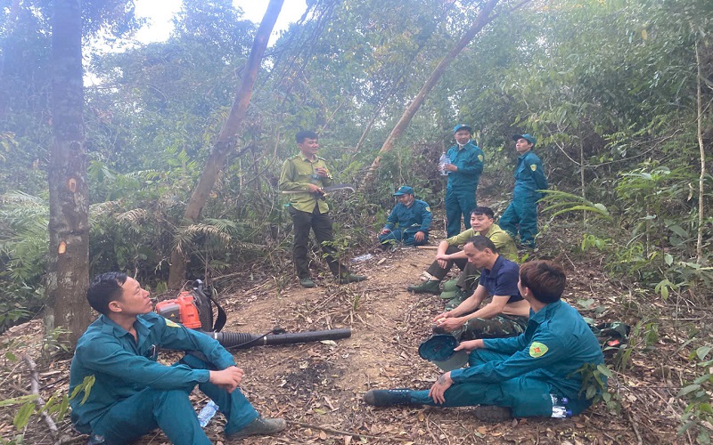 Kiểm lâm Sơn Động: Chủ động ứng phó, nâng cao hiệu quả quản lý, bảo vệ và phát triển rừng