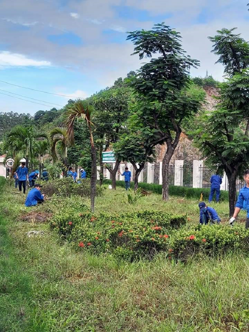 Công ty Tuyển than Hòn Gai: Bảo vệ môi trường để phát triển bền vững