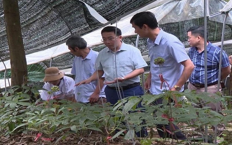 Điện Biên nỗ lực giảm nghèo bền vững: Từng bước nâng cao chất lượng đời sống người dân vùng cao