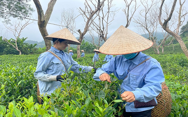 Điện Biên nỗ lực giảm nghèo bền vững: Từng bước nâng cao chất lượng đời sống người dân vùng cao