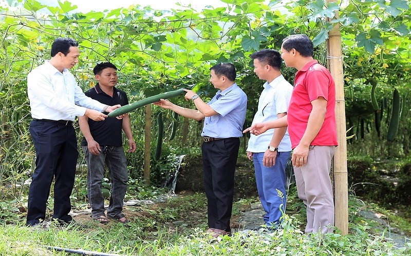 Điện Biên nỗ lực giảm nghèo bền vững: Từng bước nâng cao chất lượng đời sống người dân vùng cao