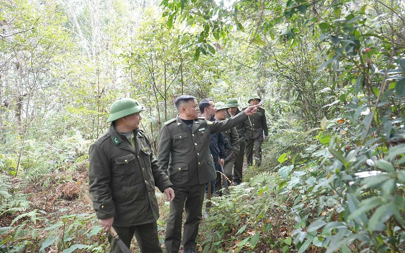 Kiểm lâm Sa Pa - Quản lý và phát triển rừng gắn với sinh kế người dân