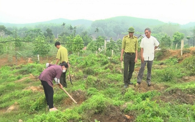 Kiểm lâm Cẩm Khê gìn giữ “lá phổi xanh” của quê hương