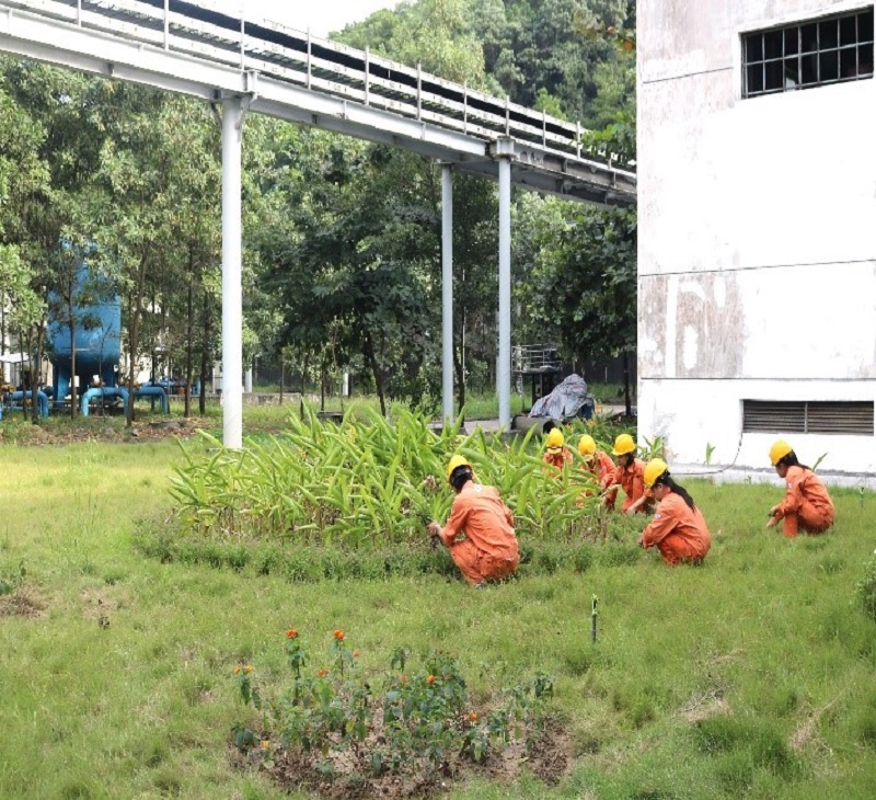 Công ty Nhiệt điện Quảng Ninh chung tay xây dựng môi trường Xanh - Sạch - Đẹp - An toàn nơi làm việc