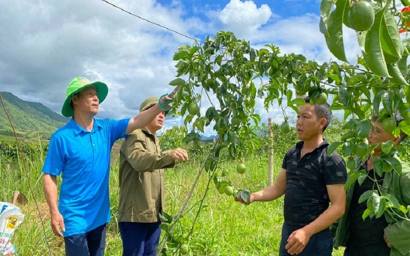 Điện Biên nỗ lực giảm nghèo bền vững: Từng bước nâng cao chất lượng đời sống người dân vùng cao