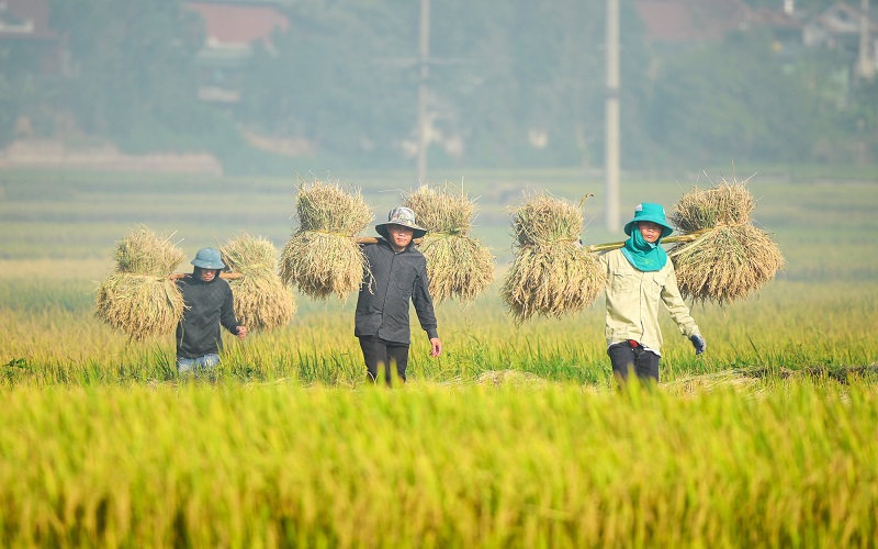 Điện Biên nỗ lực giảm nghèo bền vững: Từng bước nâng cao chất lượng đời sống người dân vùng cao