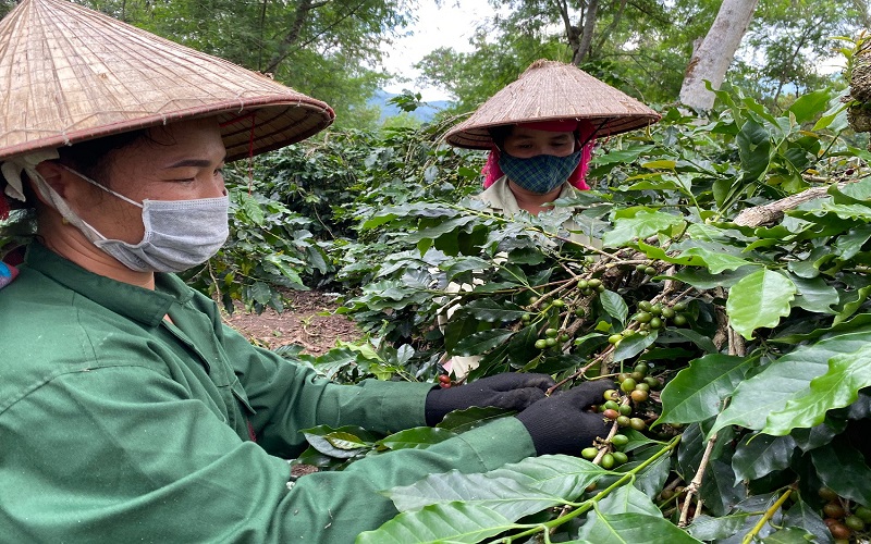 Điện Biên nỗ lực giảm nghèo bền vững: Từng bước nâng cao chất lượng đời sống người dân vùng cao