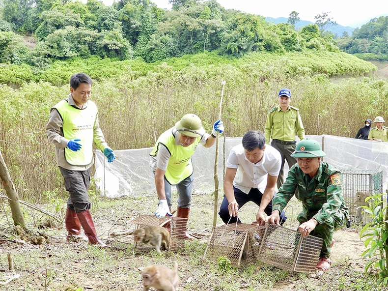 Bảo vệ động, thực vật hoang dã