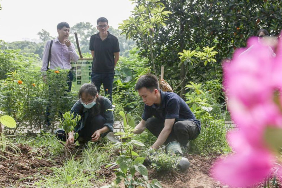Quận Hoàn Kiếm quyết tâm bảo vệ môi trường khỏi rác thải nhựa