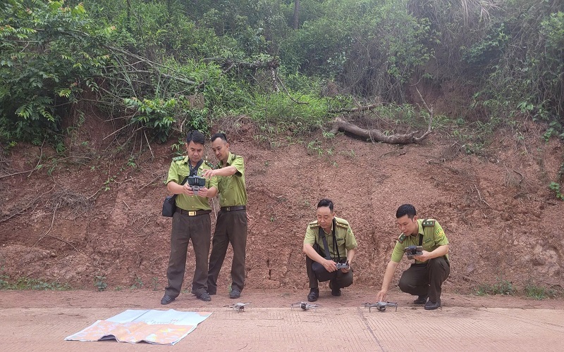 Bài cuối: Từ nền móng vững chắc đến kỳ vọng phát triển lâm nghiệp hiện đại, bền vững