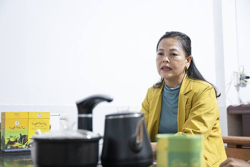 “Giữ hồn trà Shan tuyết Suối Giàng để bước ra thế giới”