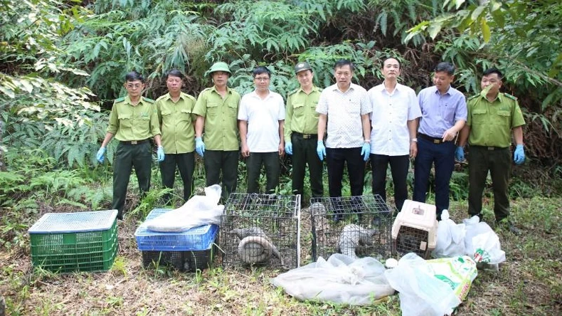 Thả 42 cá thể động vật hoang dã quý hiếm về với tự nhiên tại Vườn quốc gia Chư Yang Sin