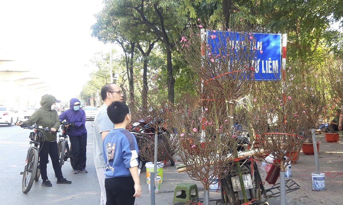 Người dân Hà Nội nô nức sắm đào, quất chuẩn bị Tết Quý Mão 2023
