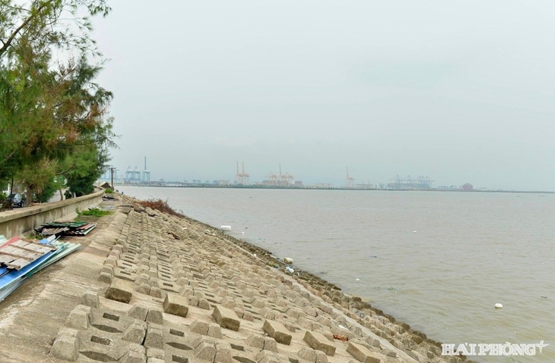 Bộ NN-MT yêu cầu địa phương khẩn trương gia cố tuyến đê trực diện biển
