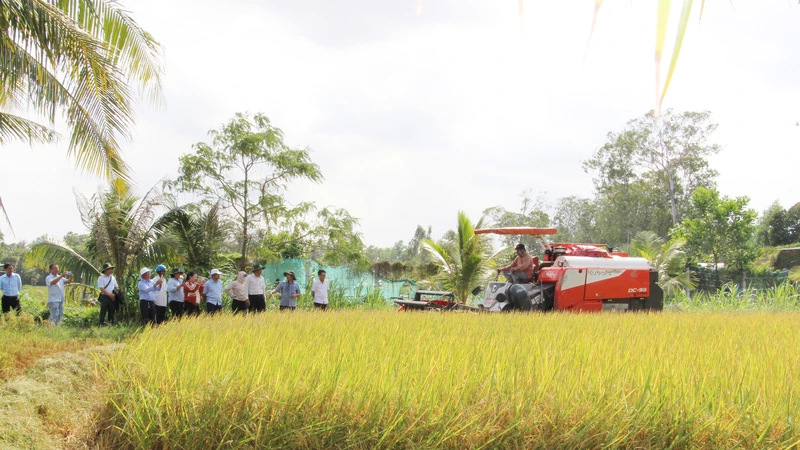 Phát triển bền vững một triệu hecta chuyên canh lúa chất lượng cao